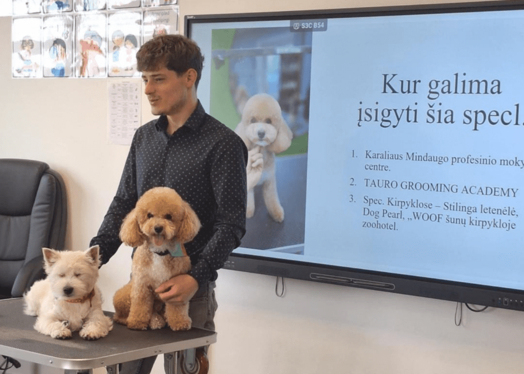grumeris educational activities